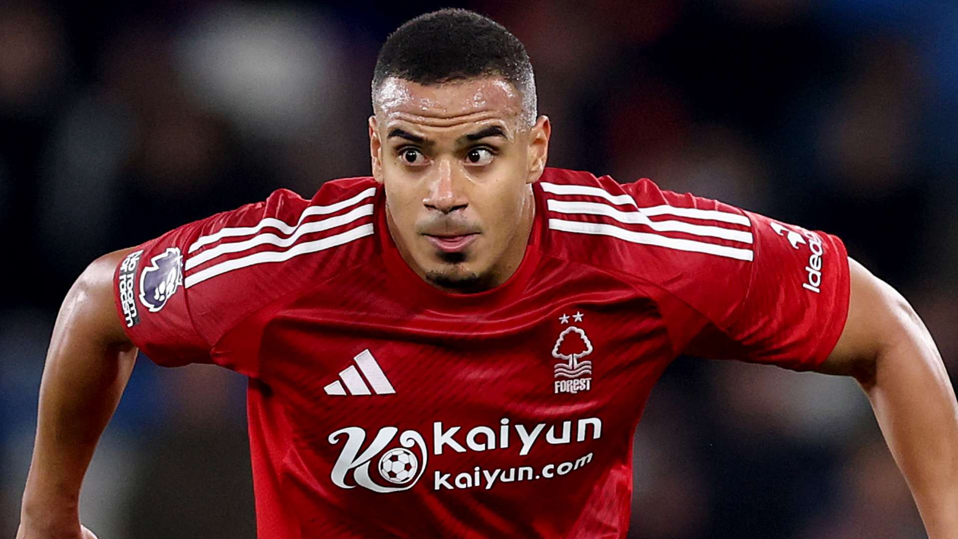 进攻稳定器 进攻稳定器